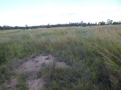 Rural property majority cleared